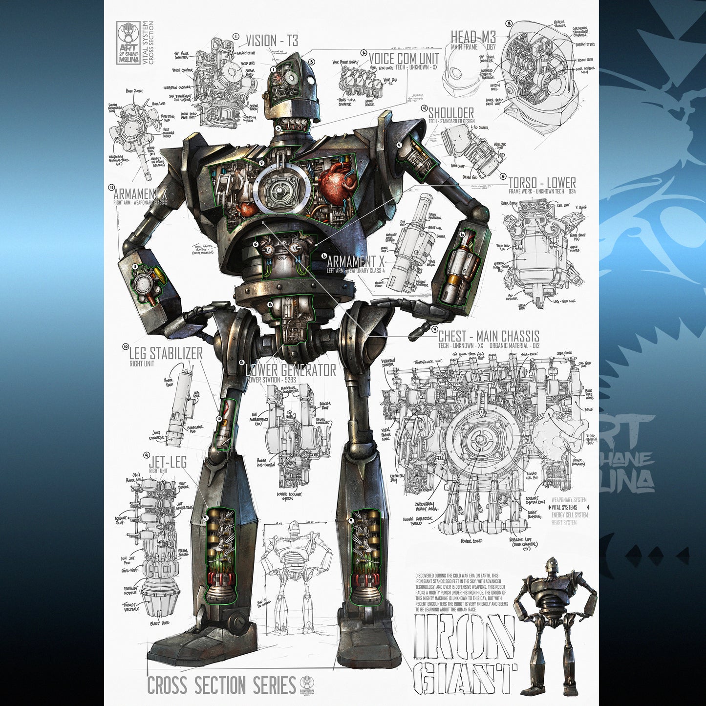 CROSS SECTION - IRON GIANT